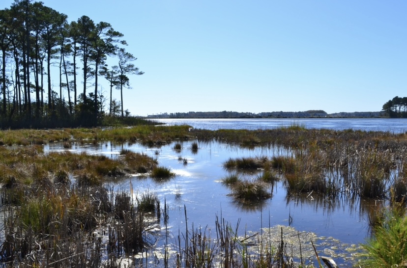 Duane-Loveland_Brecks-Mil-on-Brandywine