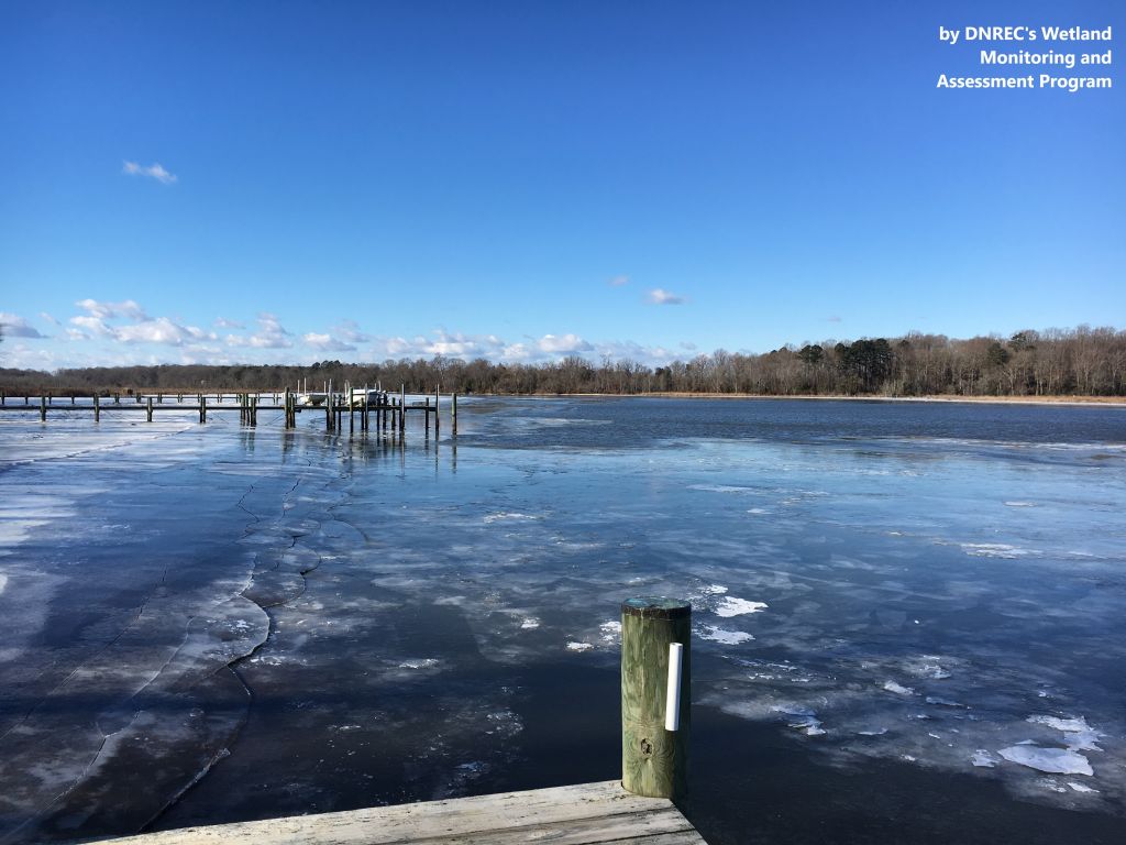 Duane-Loveland_Brecks-Mil-on-Brandywine