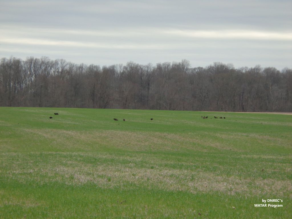 Duane-Loveland_Brecks-Mil-on-Brandywine